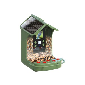 Easypix Birdycam + Feeder