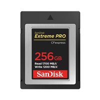 Extreme Pro CFexpress Card - 256GB