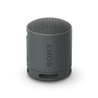 XB100 Portable Wireless Speaker - Black