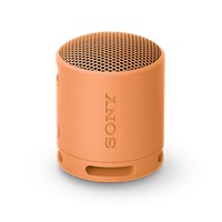 XB100 Portable Wireless Speaker - Orange