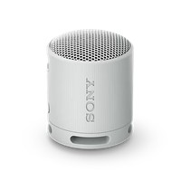 XB100 Portable Wireless Speaker - Grey