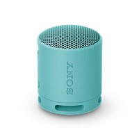 XB100 Portable Wireless Speaker - Blue